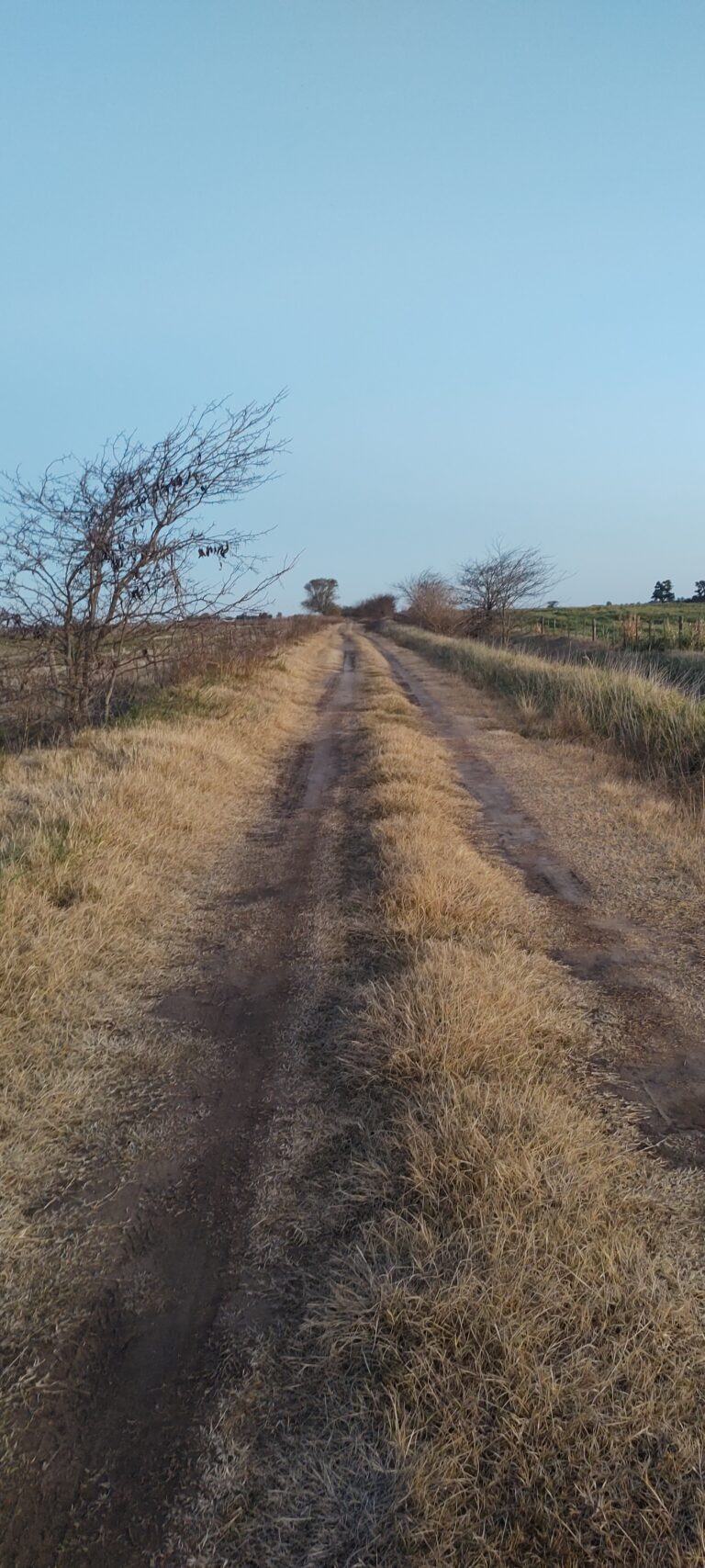 17501949706067949366527064442088 768x1707