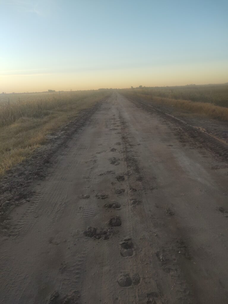 17504527181965202157200057389872 768x1024